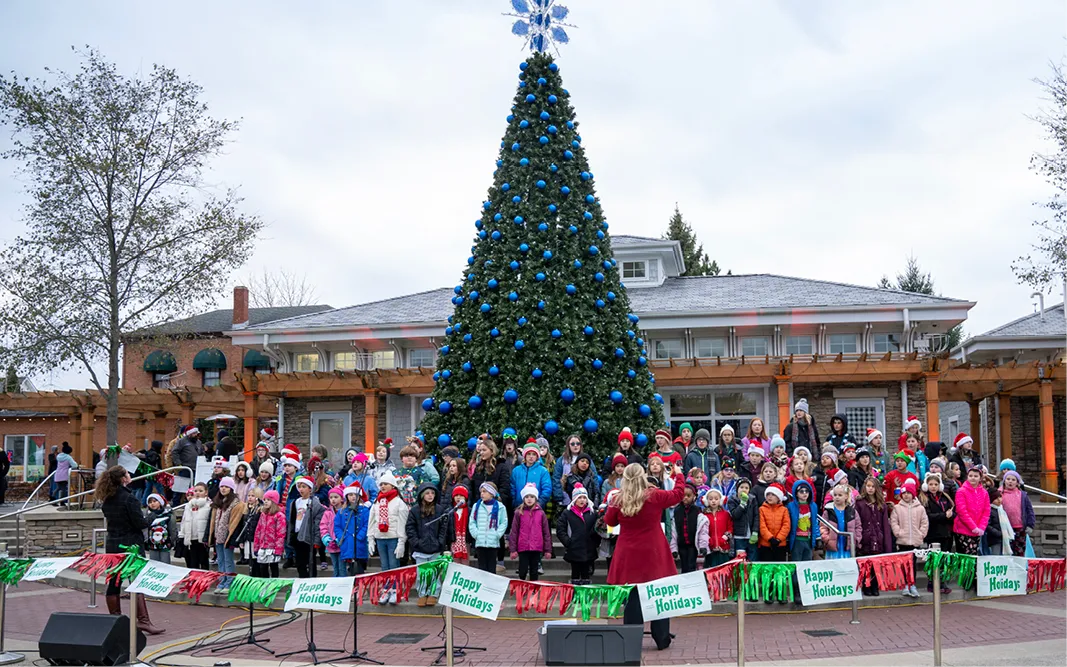 Hilliard Tree Lighting — official source image