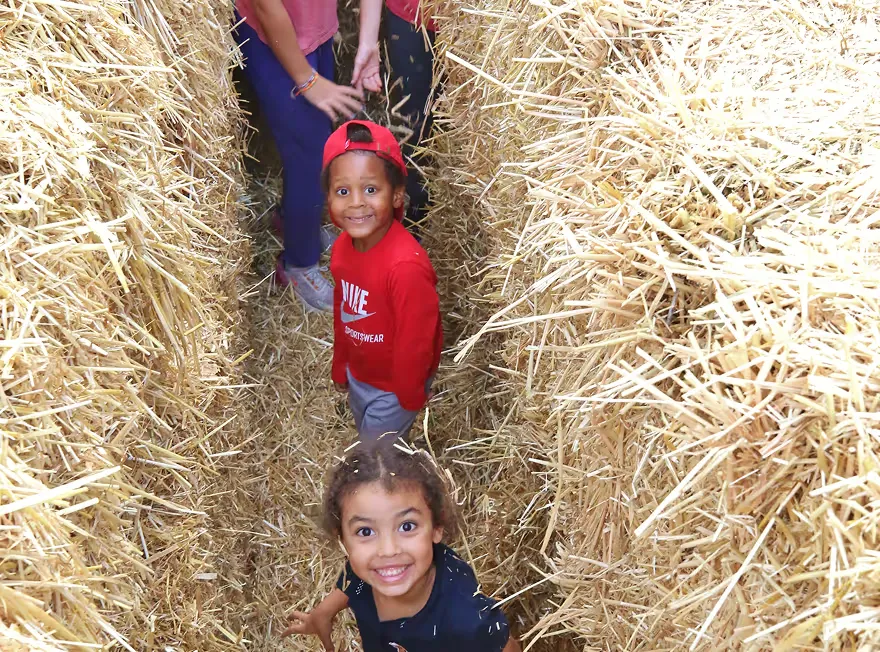 Woodmere Straw Maze 2026 — official source image