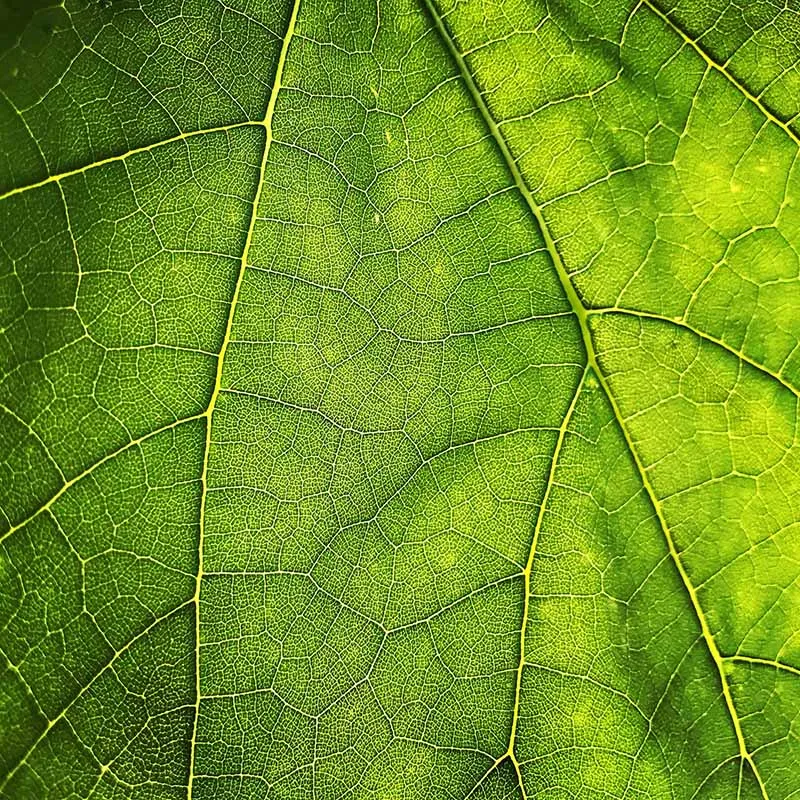 Nature Art — October 18, 2026 — venue image