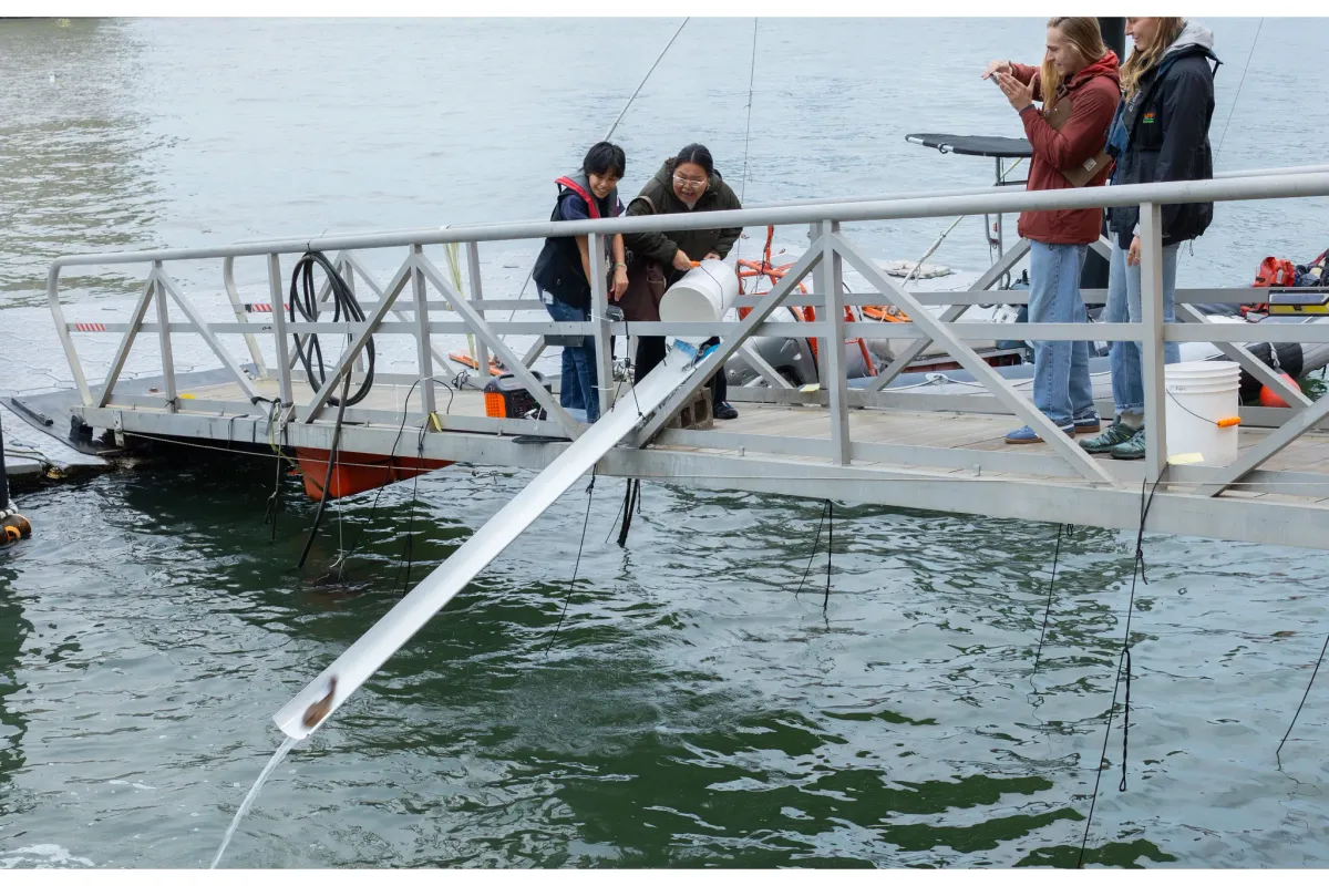Release of the Fishes — Wetlab Season Finale at Pier 40 — official source image
