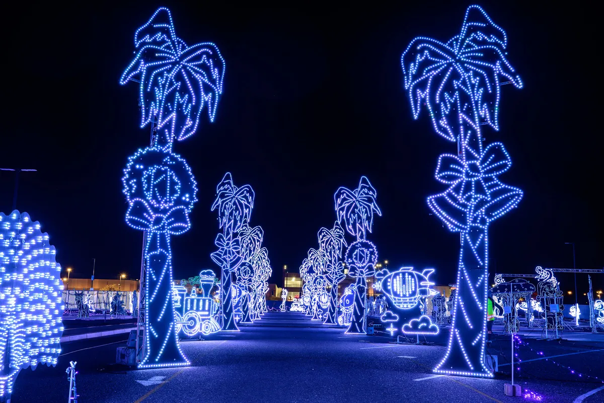 World of Illumination: Enchanted Safari Drive-Through Light Show — official source image