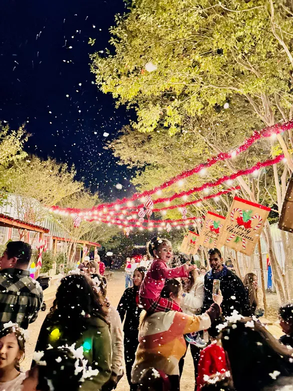 Christmas CountryFest at Devine Acres Farm — official source image