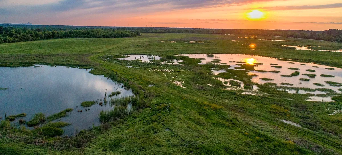 Backyard Bass and Arts in the Park — Sheldon Lake State Park — venue image