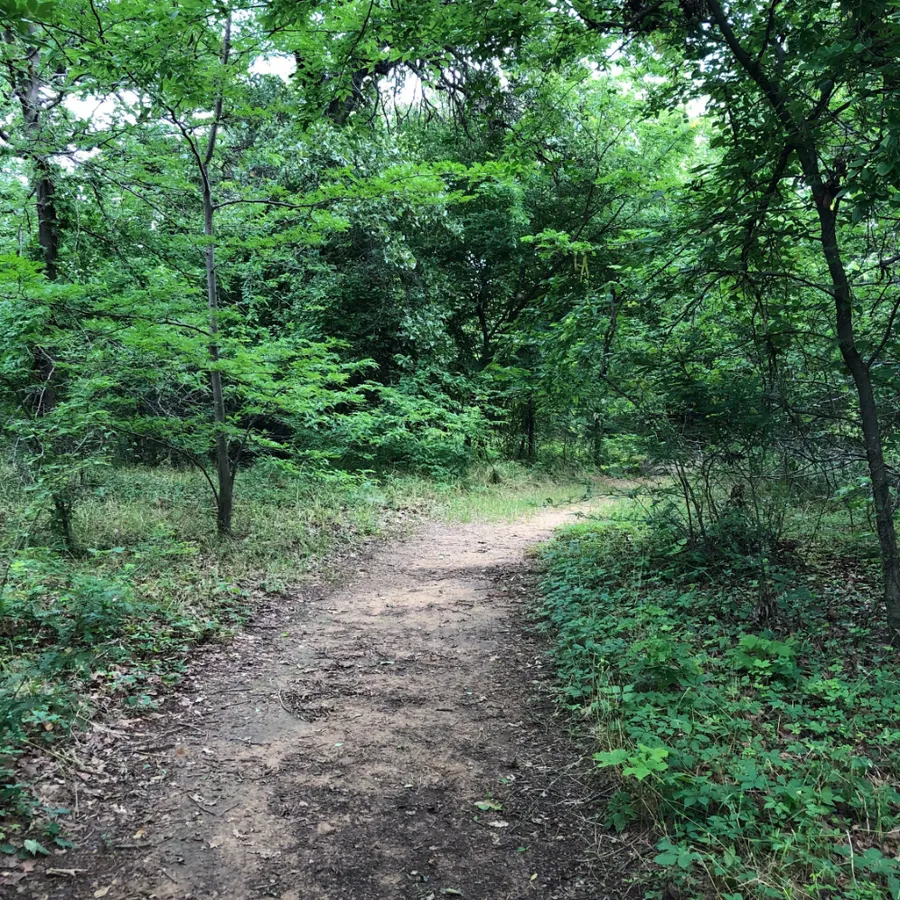 Cross Timbers Nature Club and Parent-and-Me Nature Programs — program image