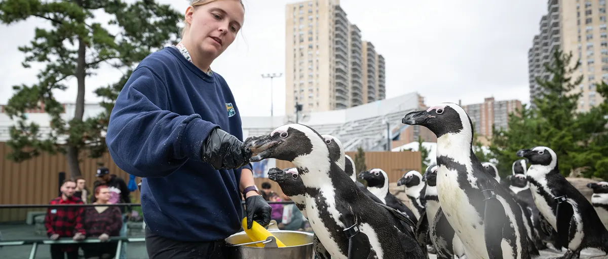 Ascarium Fall Festival — New York Aquarium — official source image