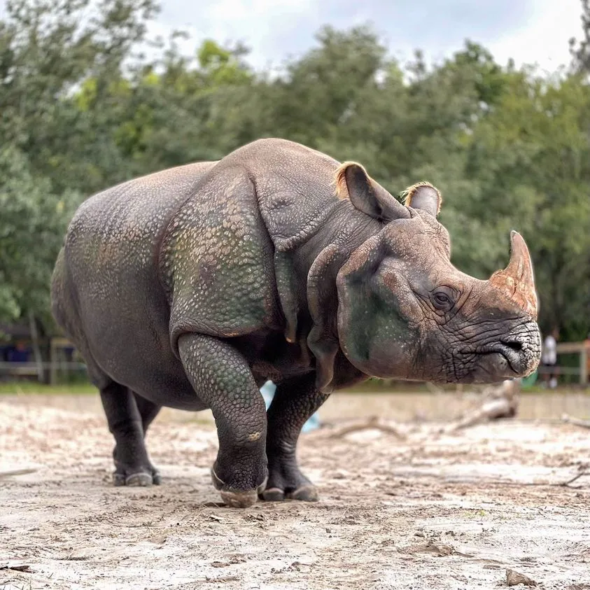 Central Florida Zoo & Botanical Gardens — official source image