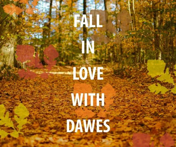 Fall in Love with Dawes — official source image