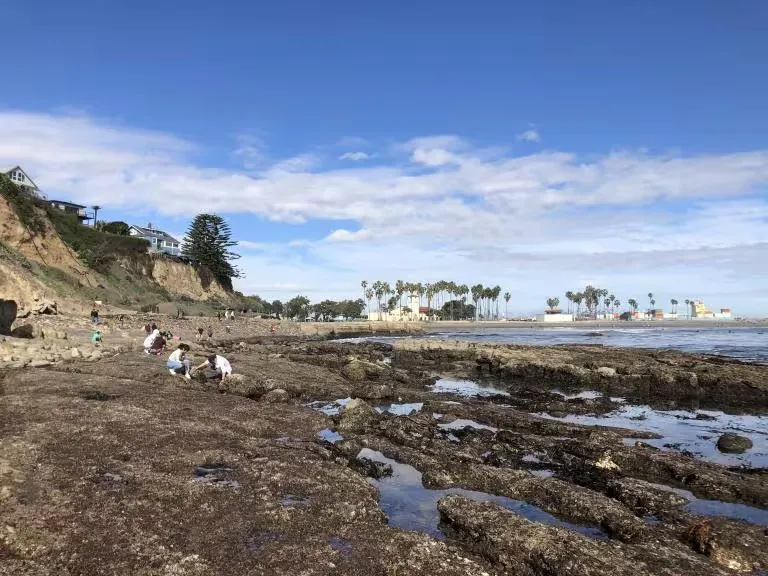 Tidepool Walks to Point Fermin with Cabrillo Marine Aquarium — official source image