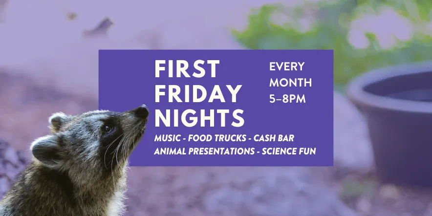 First Friday Nights at CuriOdyssey — official source image