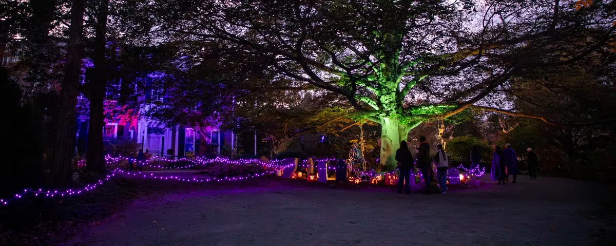 Halloween on the Hill at Long Hill — official source image