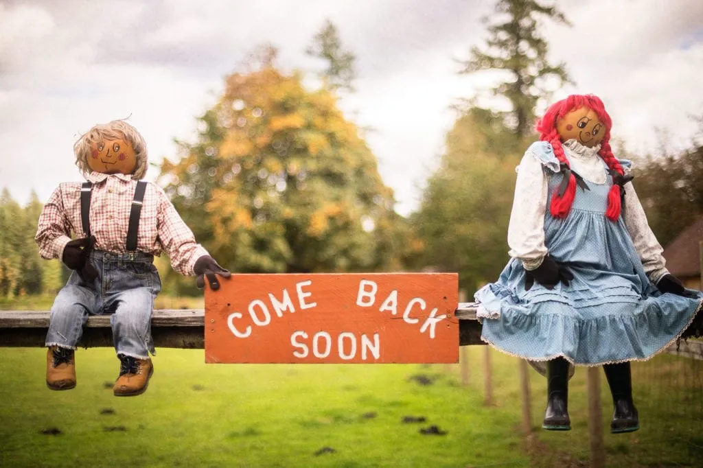Pumpkin Lane at Pomeroy Farm — official source image