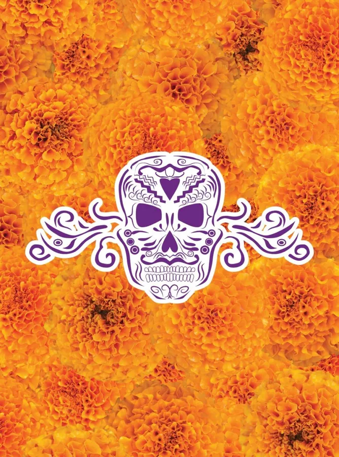 Día de los Muertos at SDMA — official source image