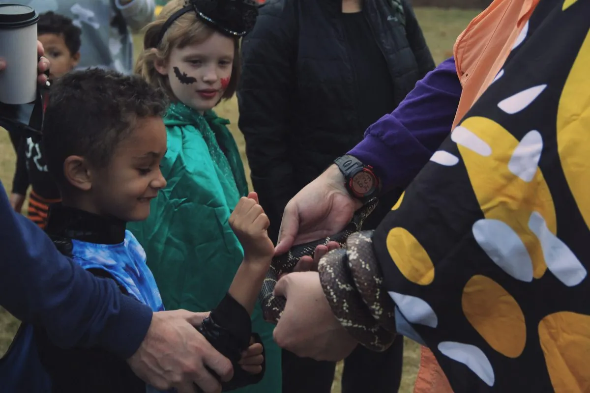 Halloween Hikes 2026 — official source image