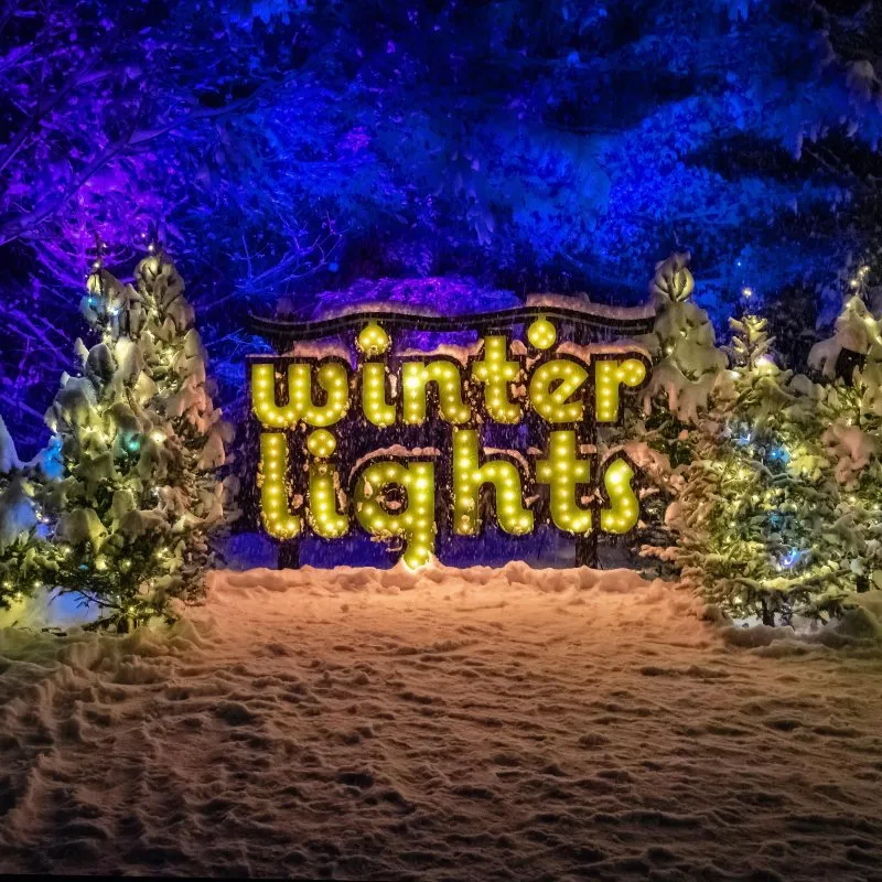Sensory-Friendly Hour at Winterlights, Bradley Estate — official source image