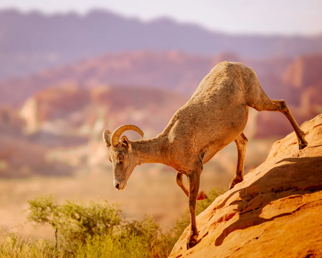 Valley of Fire State Park — official source image