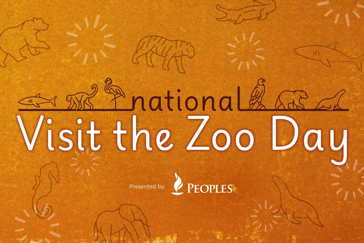 National Visit the Zoo Day at Pittsburgh Zoo — official source image