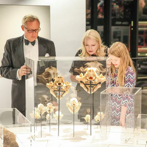 Archaeology Family Day at the Burke Museum — official source image