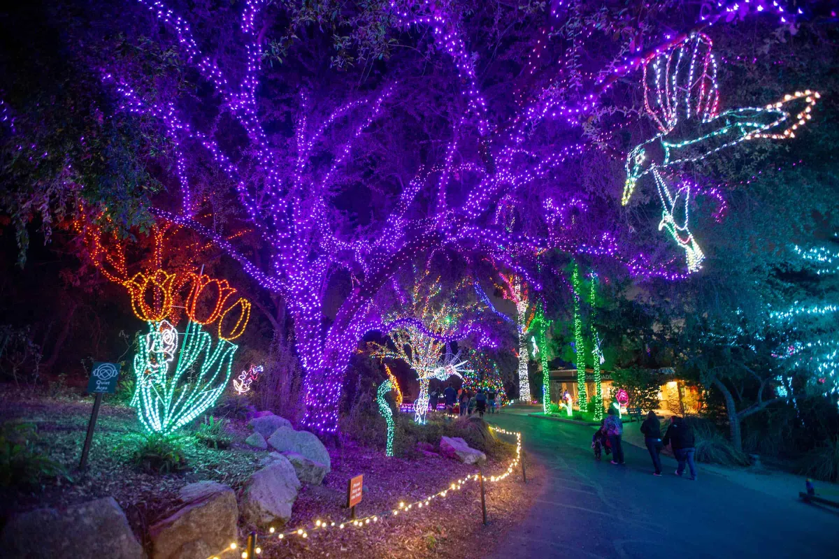 Sensory-friendly ZooLights 2026 — official source image
