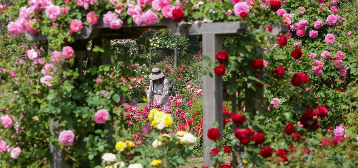 Little Bookworms Garden Story Time at Descanso Gardens — official source image