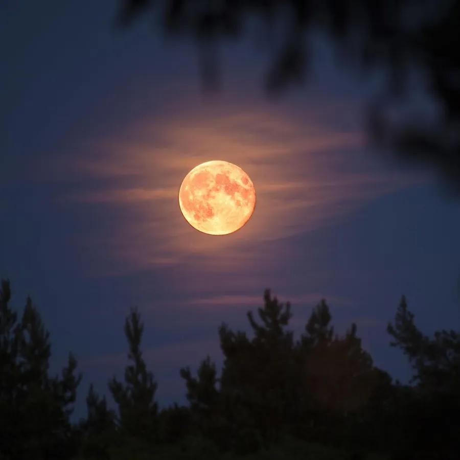 Park after Dark: Moonwalk + Stargazing — fall sessions — official source image