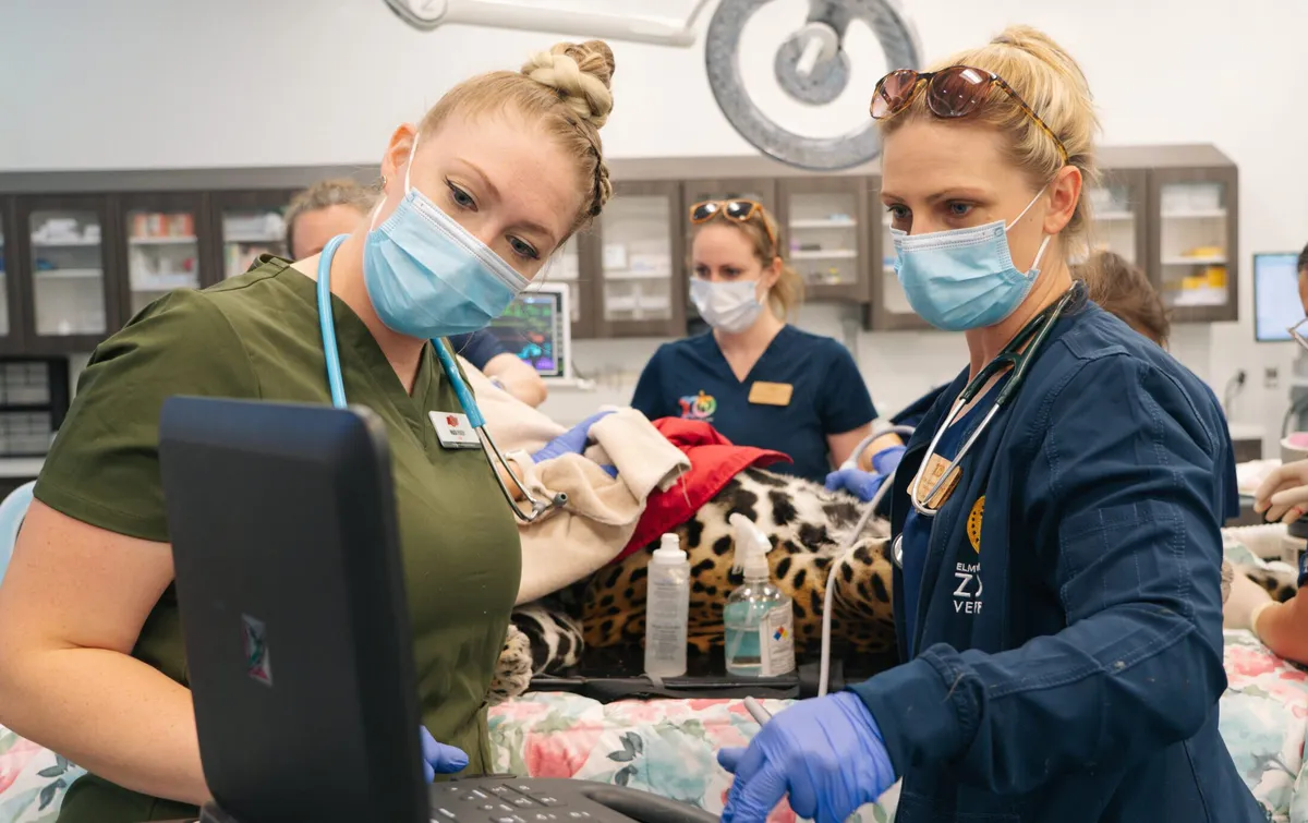 Live Veterinary Exams at Elmwood Park Zoo — official source image