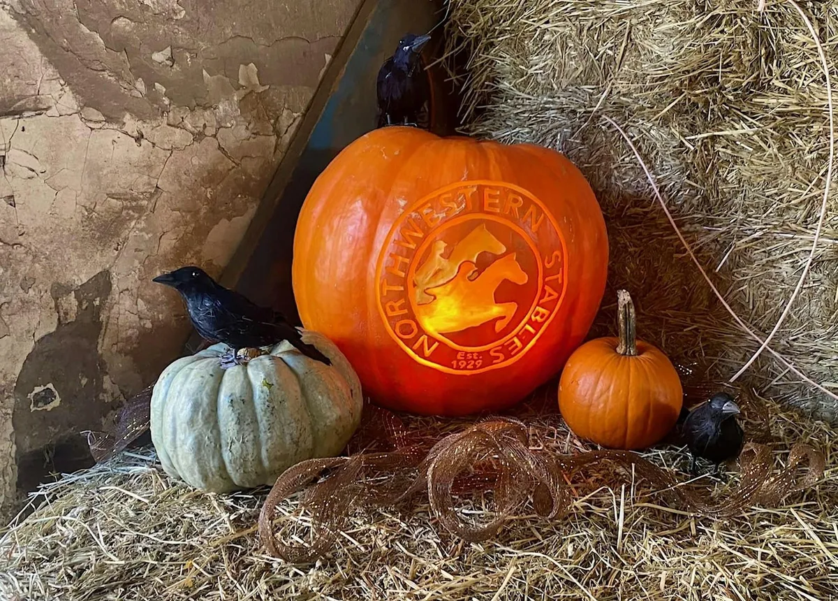 Haunted Horses — official source image