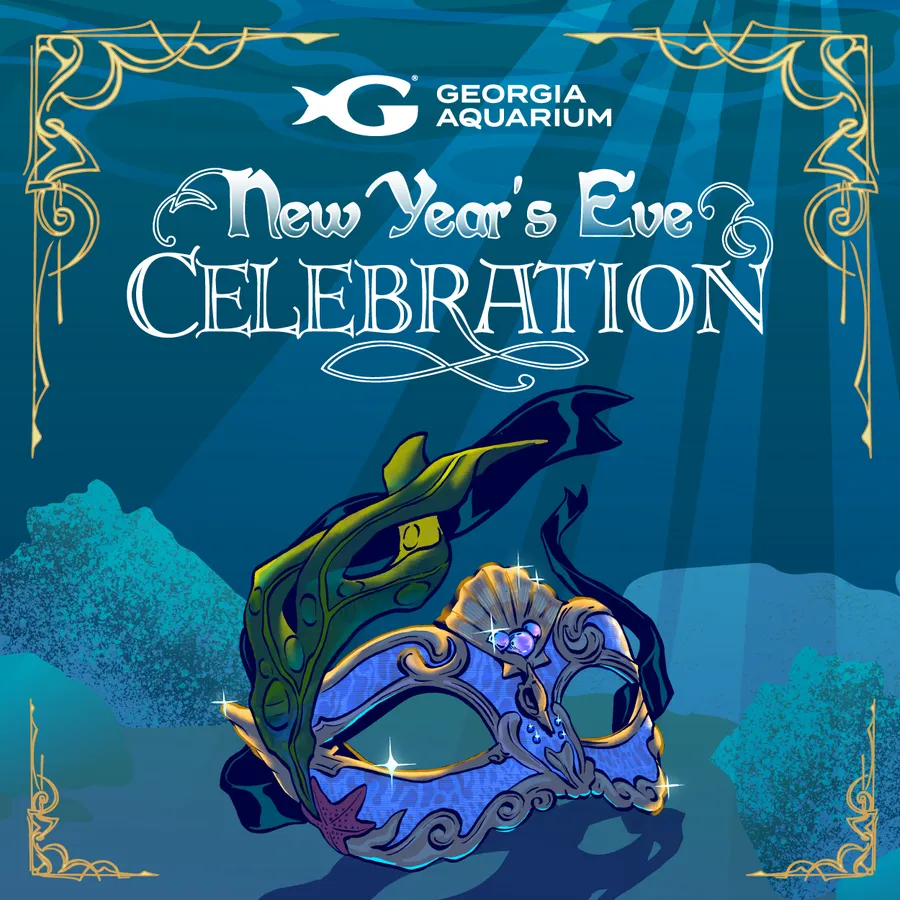 New Year’s Eve Celebration — official source image