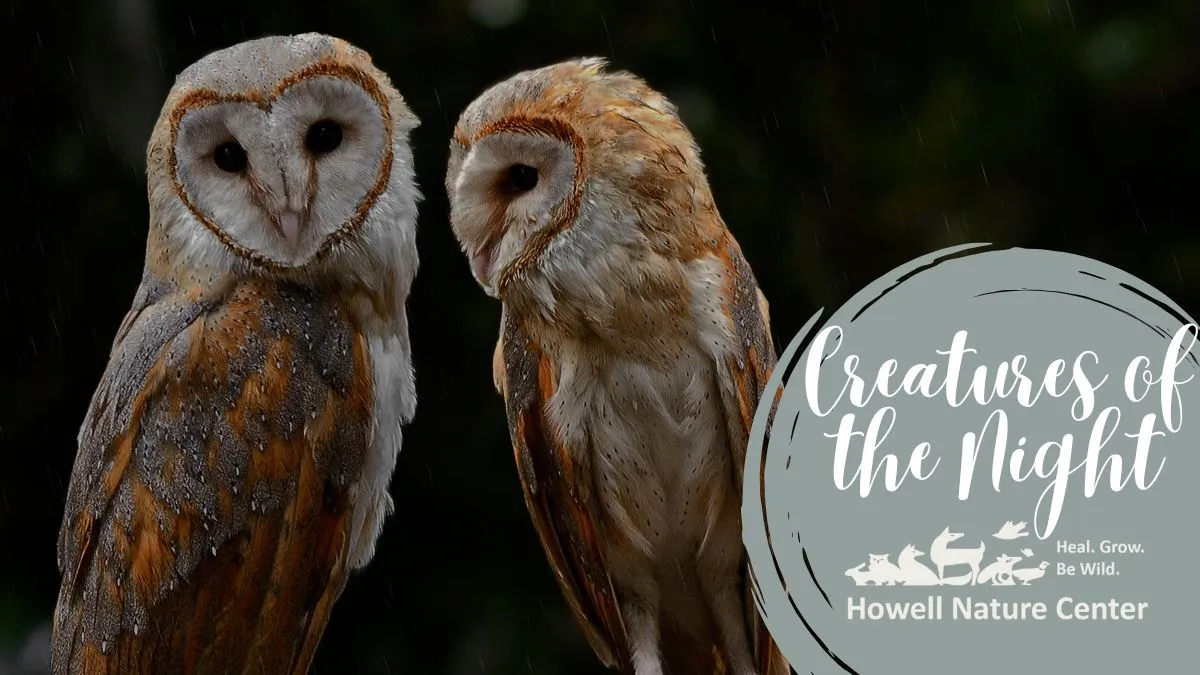 Creatures of the Night Wildlife Presentation and Night Hike at Howell Nature Center — official source image