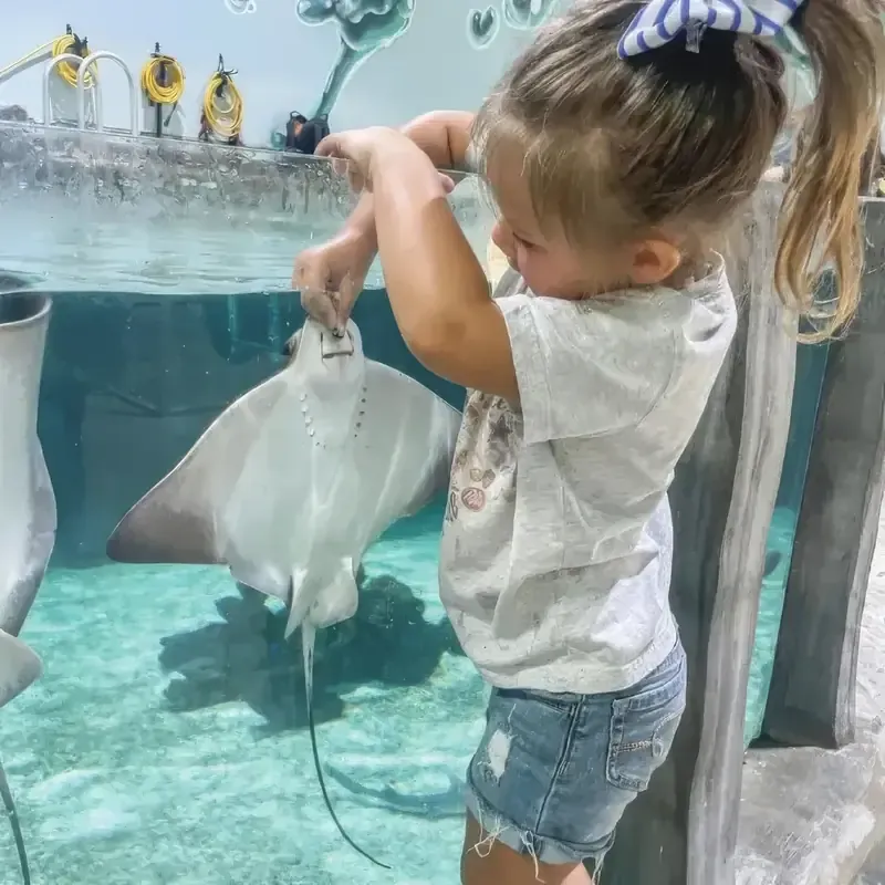 Austin Aquarium — official source image