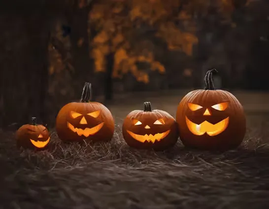 Nature at Night Pumpkin Hike — official source image