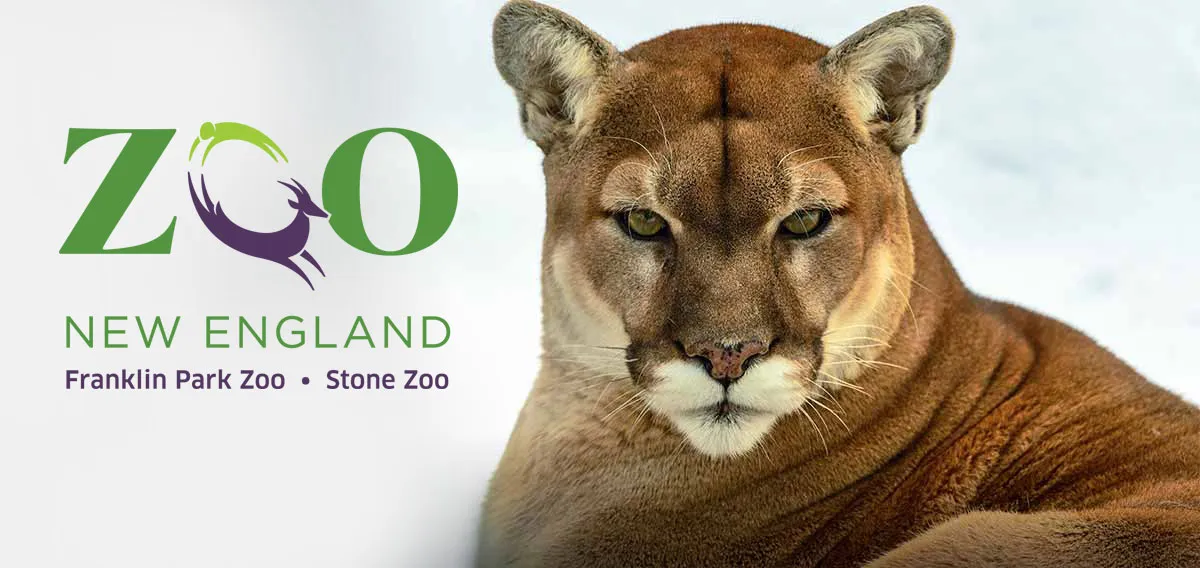 Boston Lights: A Lantern Experience at Franklin Park Zoo — venue image