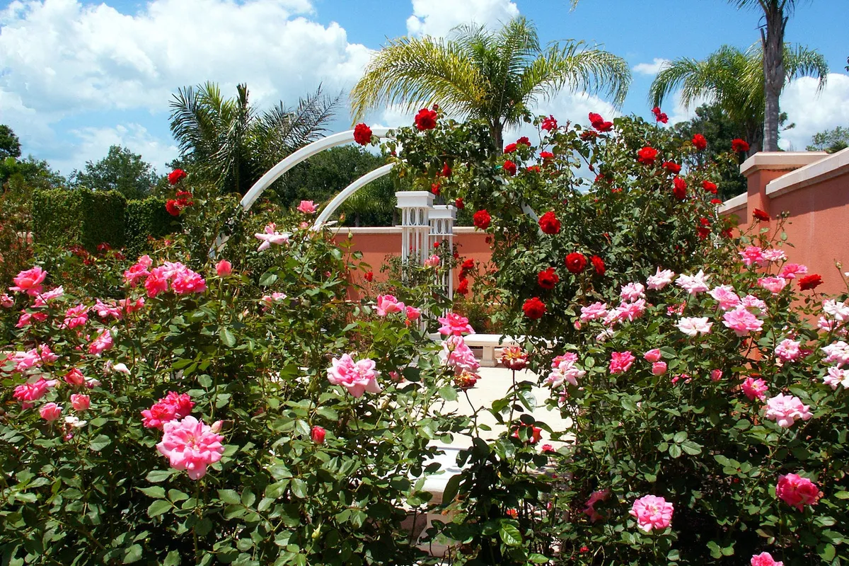 Florida Botanical Gardens — official source image
