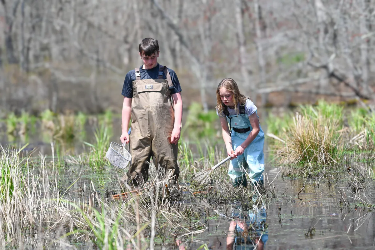 Wetland Detectives: What's Under the Surface? at Broadmoor — official source image