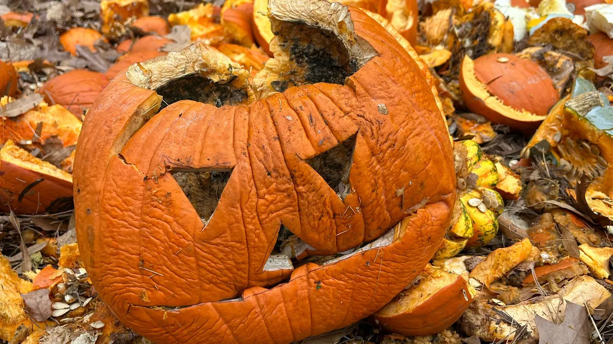 Queens Botanical Garden Pumpkin Smash — official source image