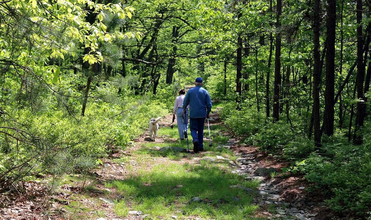 Natural Decorations Workshop at Jennings Environmental Education Center — venue image