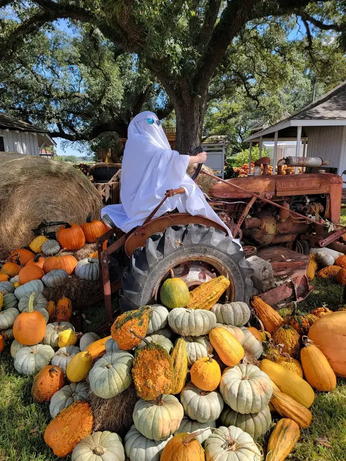 Little Wrangler's Trick or Treat at The George Ranch — official source image