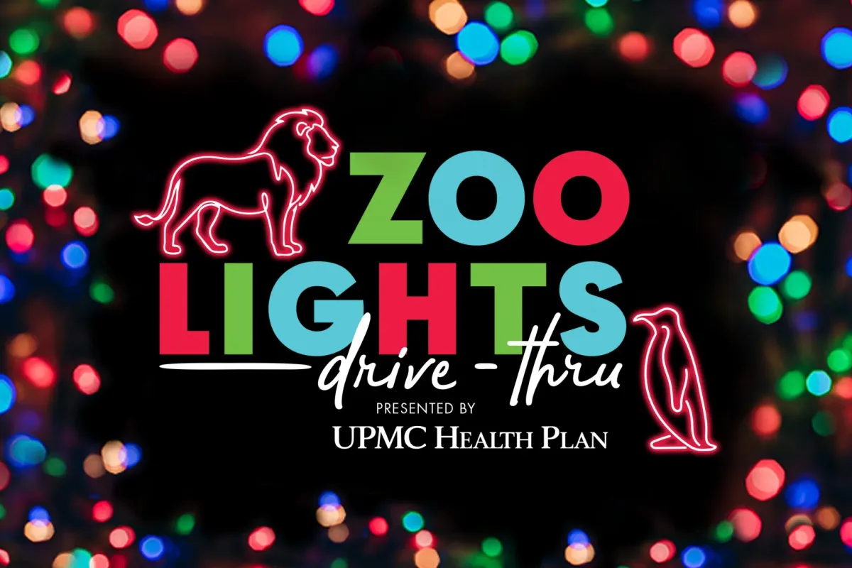 Zoo Lights Drive-Thru at Pittsburgh Zoo — official source image