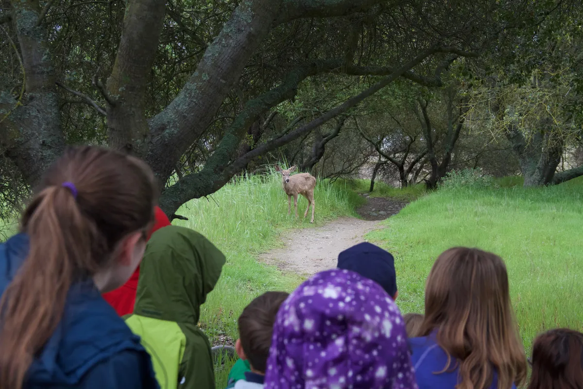 Effie Yeaw Nature Center — venue image