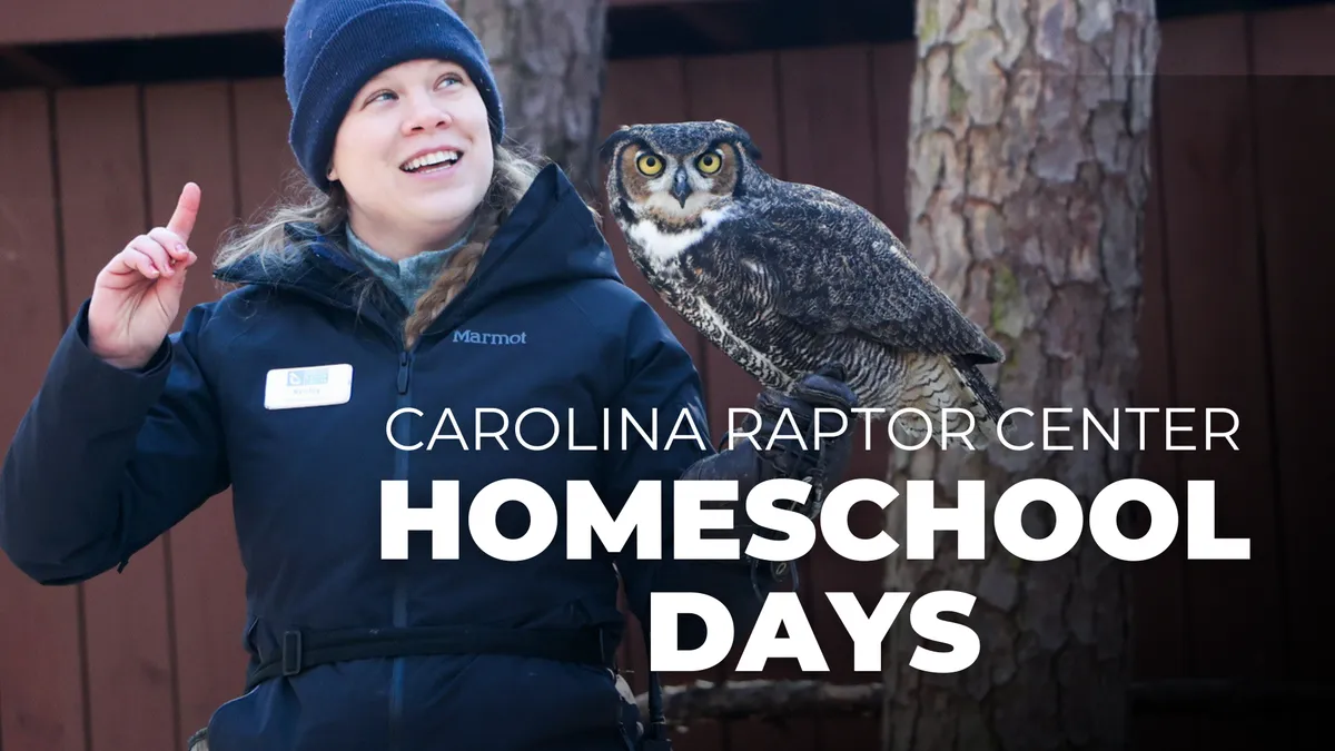 Homeschool Day at Carolina Raptor Center — official source image