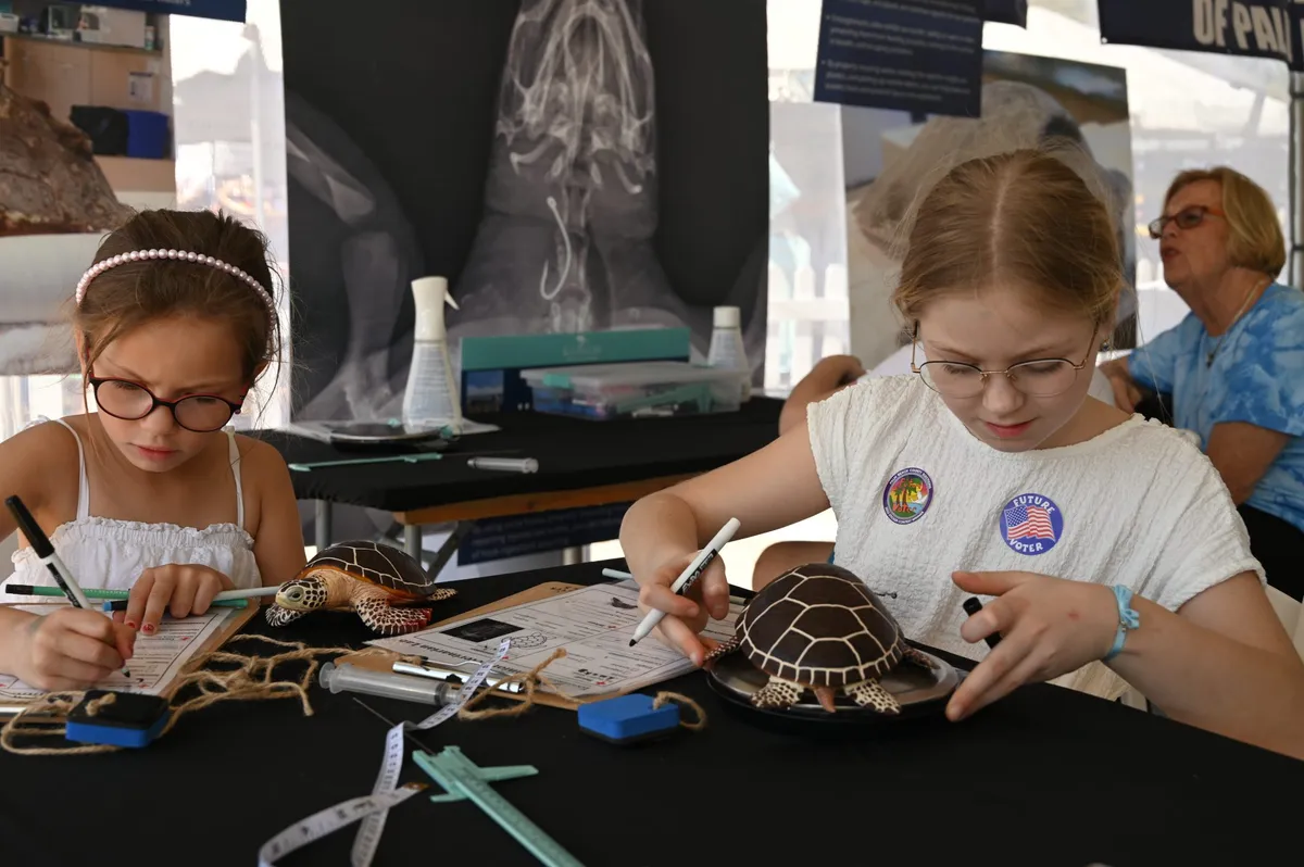 Jr. Veterinarian Lab — program image