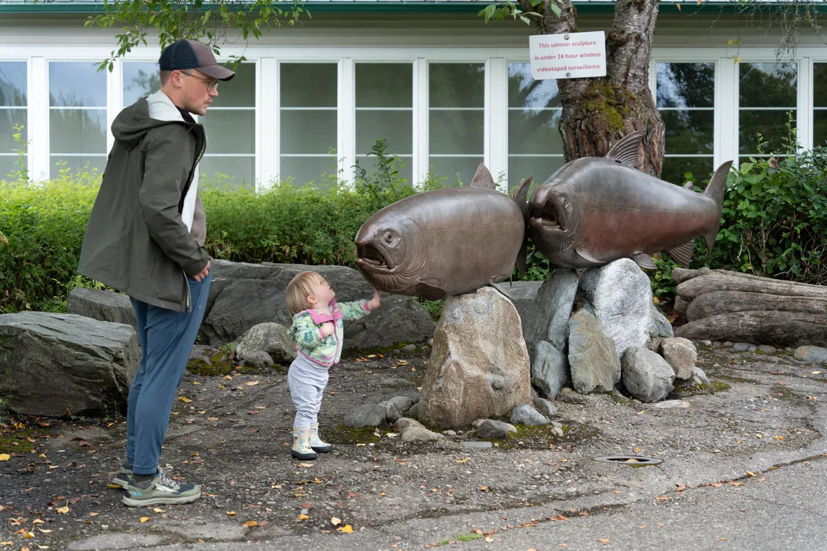 Issaquah Salmon Hatchery — official source image