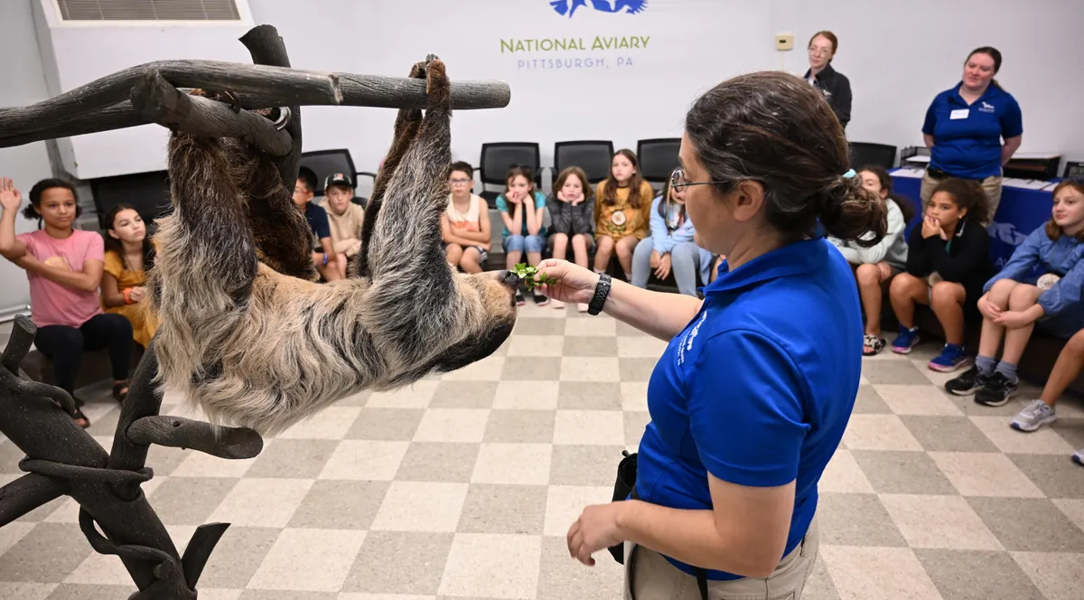 Teen Job Shadow Series at the National Aviary — official source image