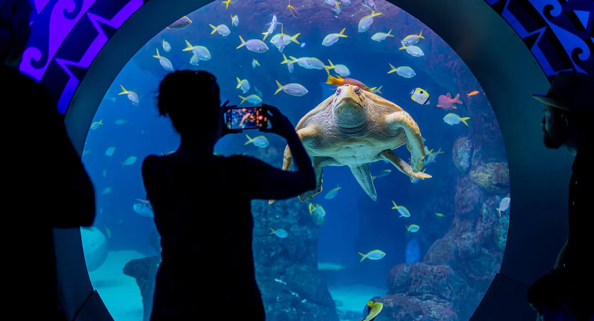 The Florida Aquarium — official source image