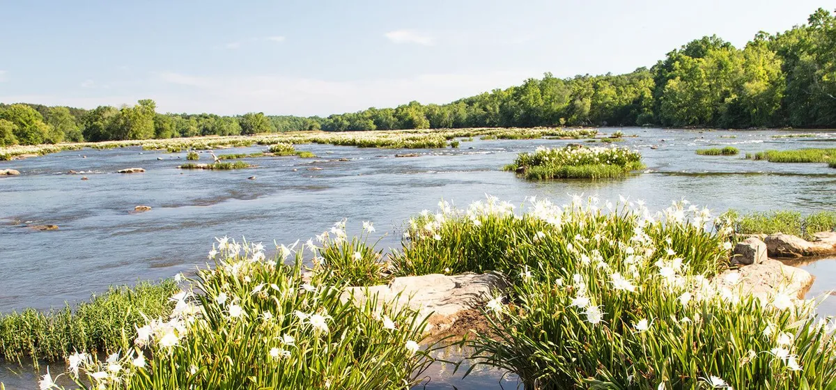 Landsford Canal State Park — official source image