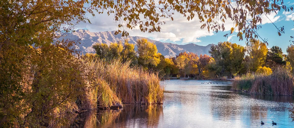 Floyd Lamb Park at Tule Springs — official source image