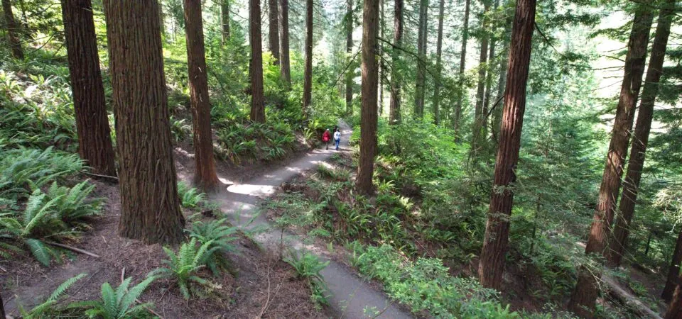 Hoyt Arboretum — official source image