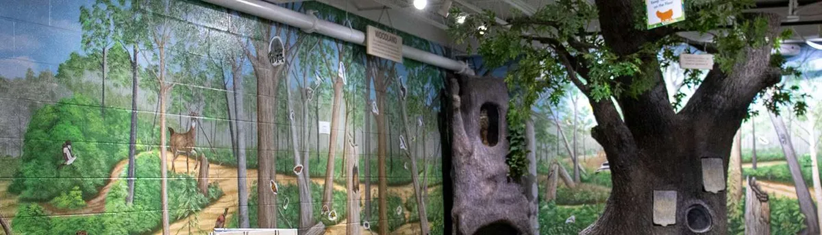 PNC Grow Up Great Nature Nook and Storytime — program image