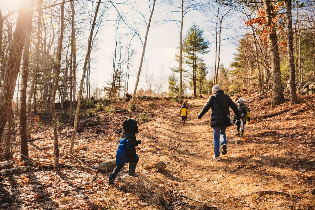 Hike & Craft: Winter Adaptations at Moose Hill — official source image