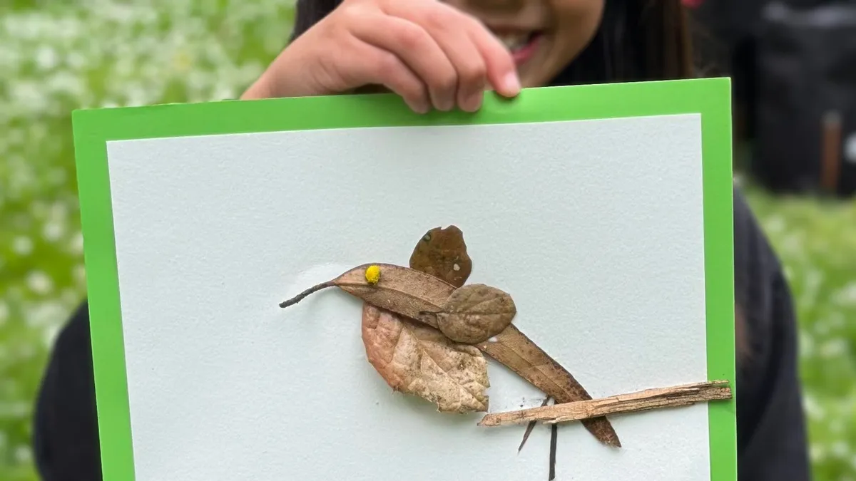 Feathered Friends: Birdwatching & Nature Art for Families — official source image