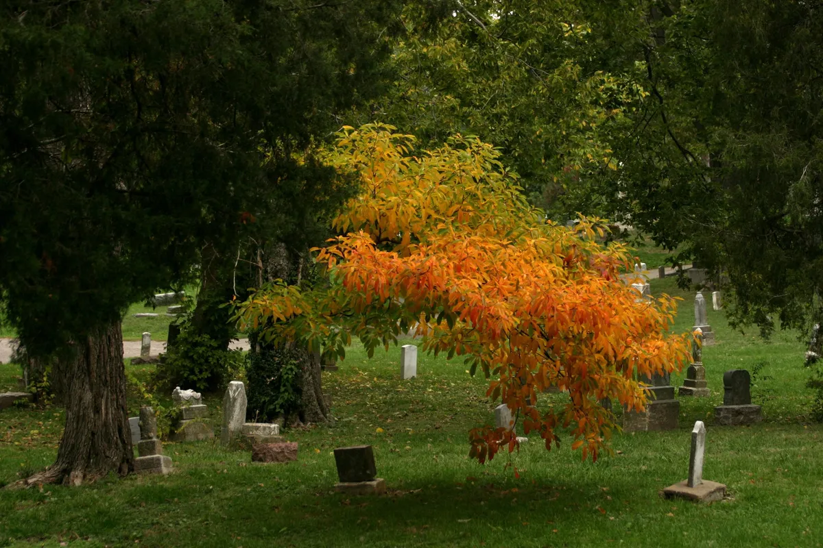 Fall Bazaar at Union Cemetery — official source image